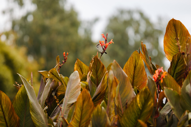 image image - 2025-11-26T132924.135.jpg